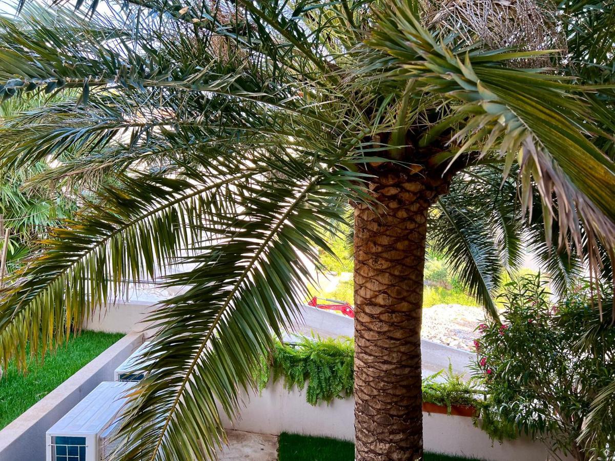 Villa Romana II أوميس المظهر الخارجي الصورة