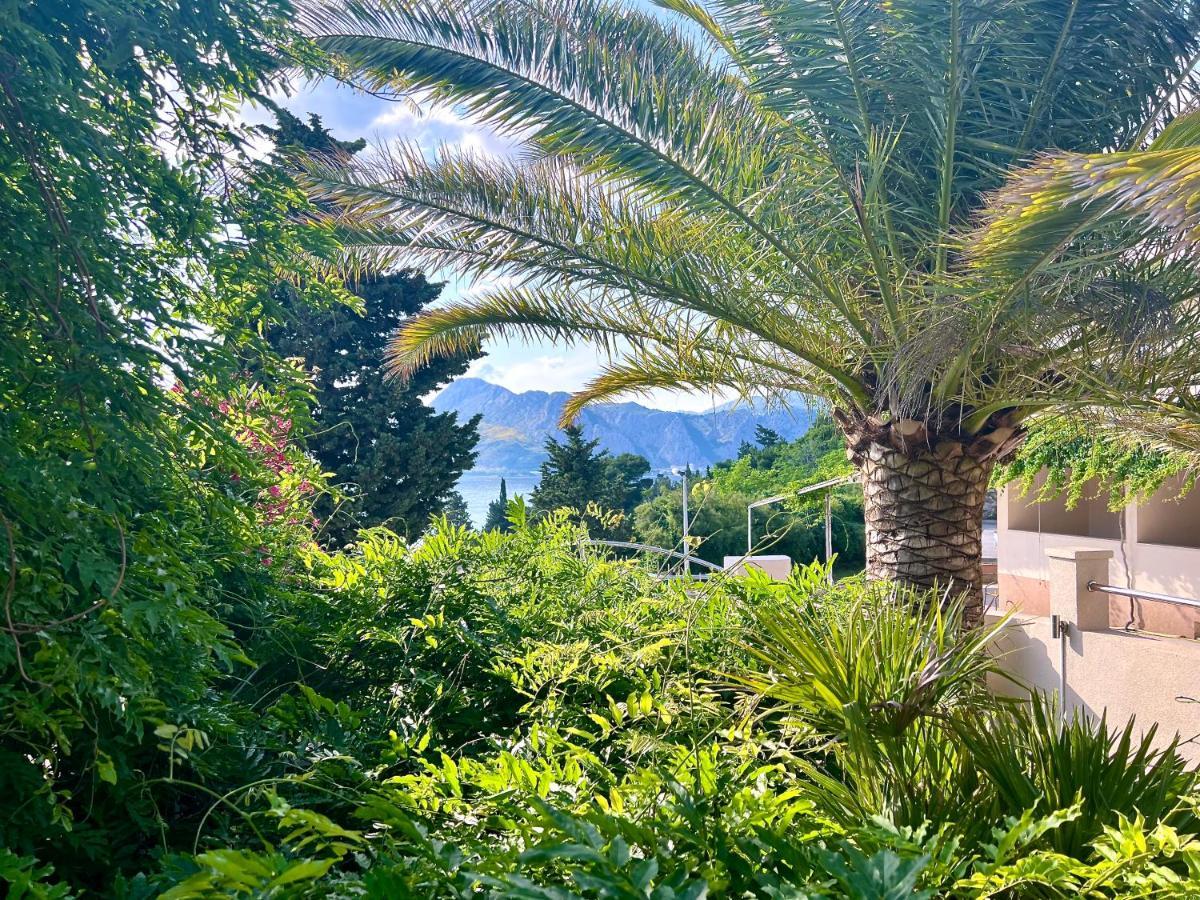 Villa Romana II أوميس المظهر الخارجي الصورة